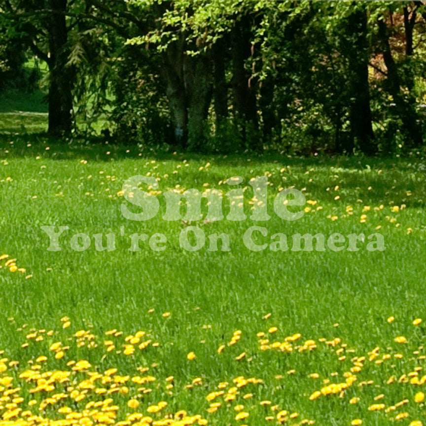 Smile You're On Camera