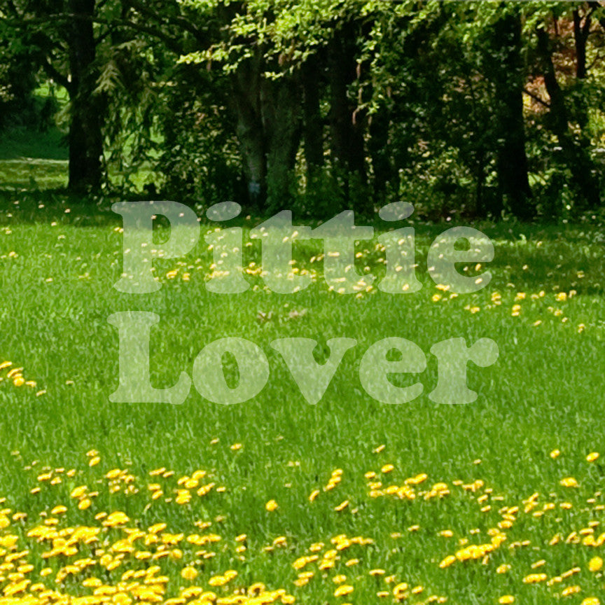 Pittie Love Pitbull