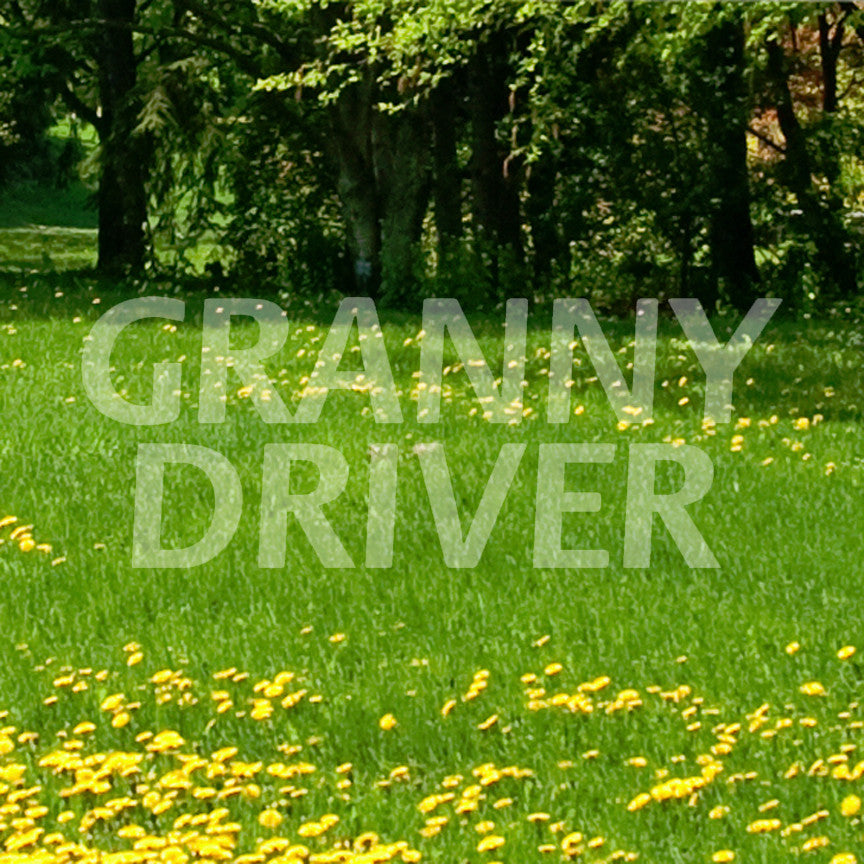 Granny Driver