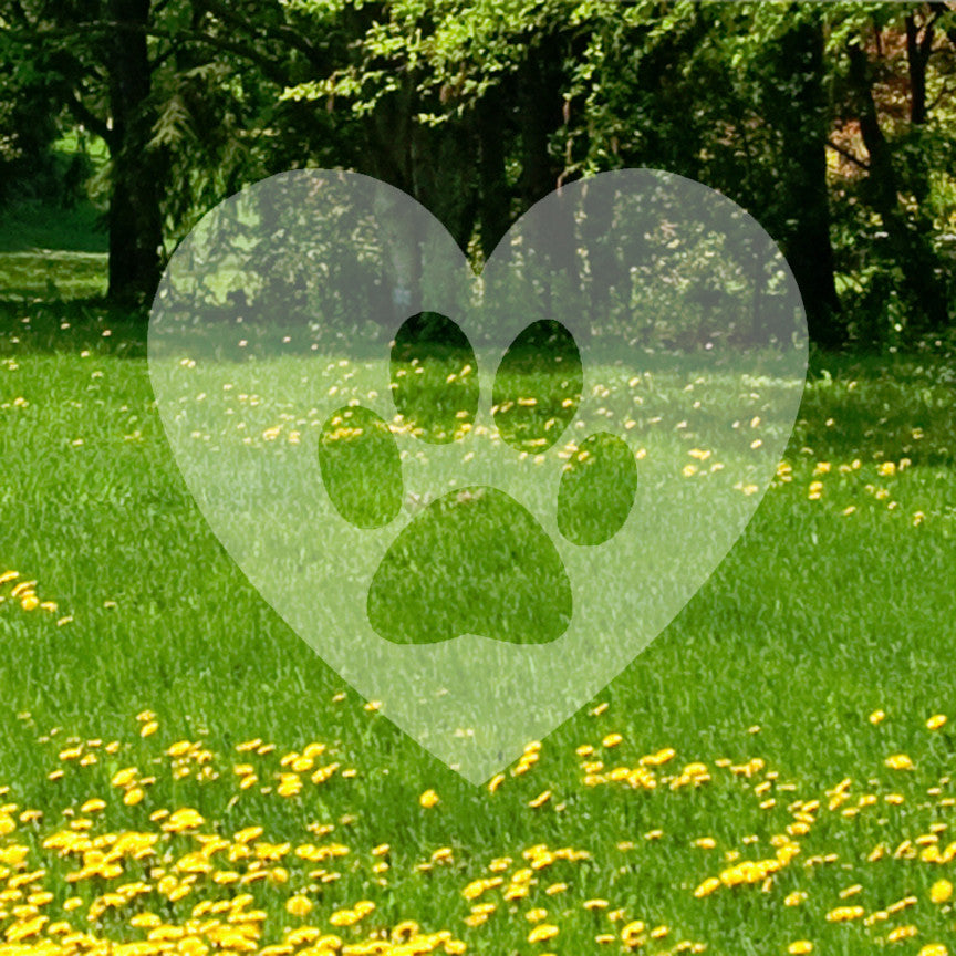 Dog Paw Print Heart
