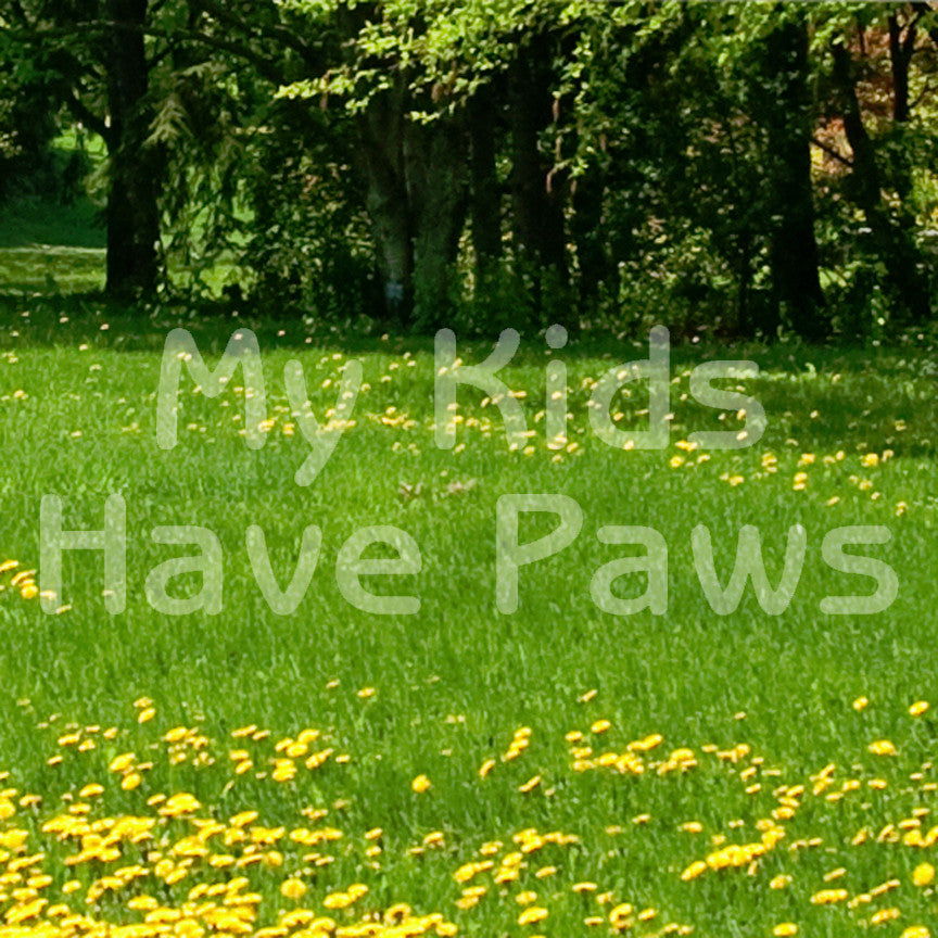 My Kids Have Paws