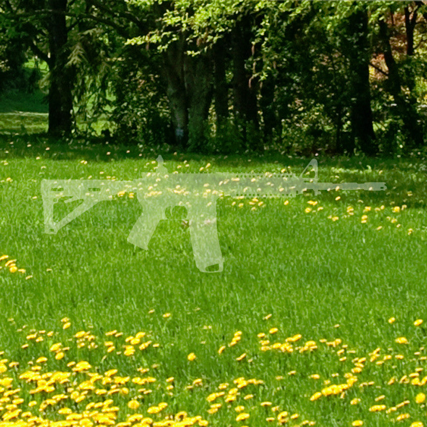 Ar-15 Assault Rifle Gun