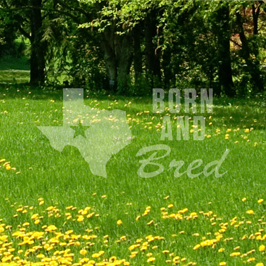 Texan Born And Bred Texas