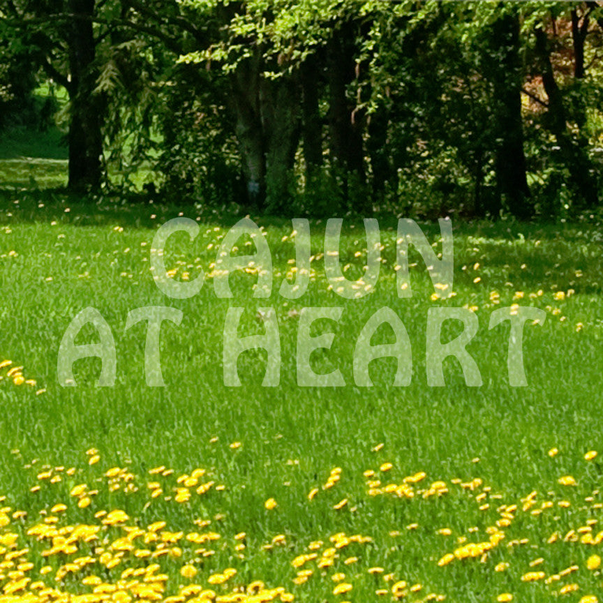 Cajun At Heart