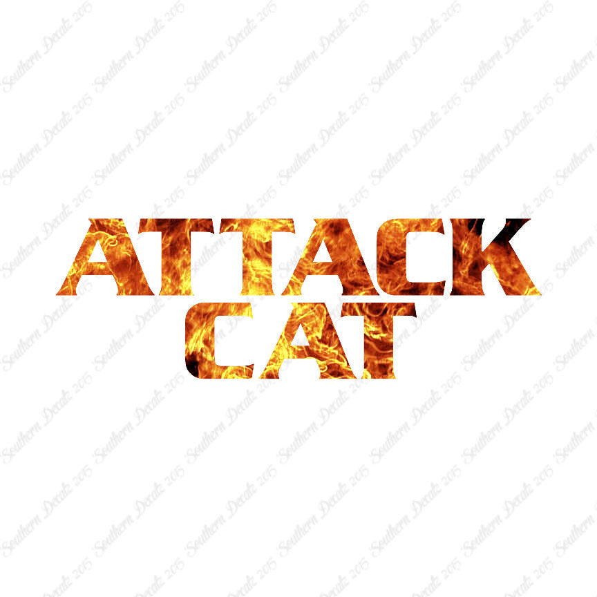 Attack Cat