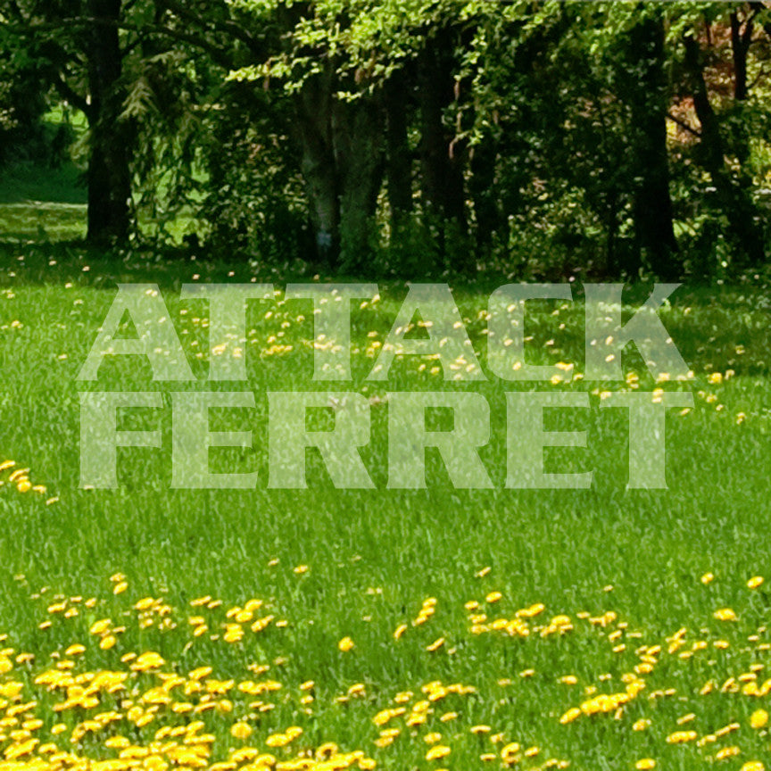Attack Ferret
