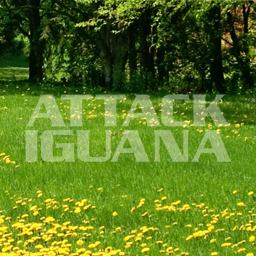 Attack Iguana
