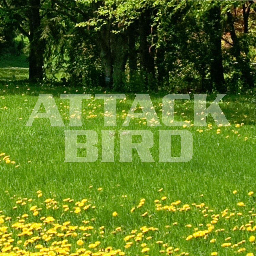 Attack Bird