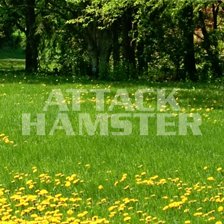 Attack Hamster