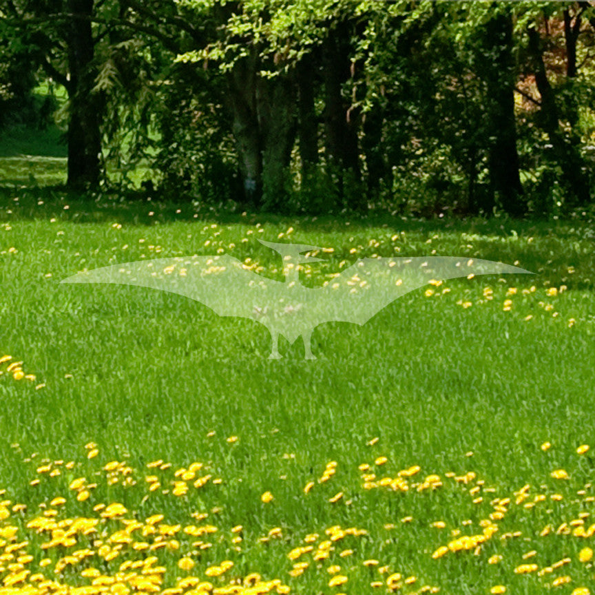 Dinosaur Pterodactyl