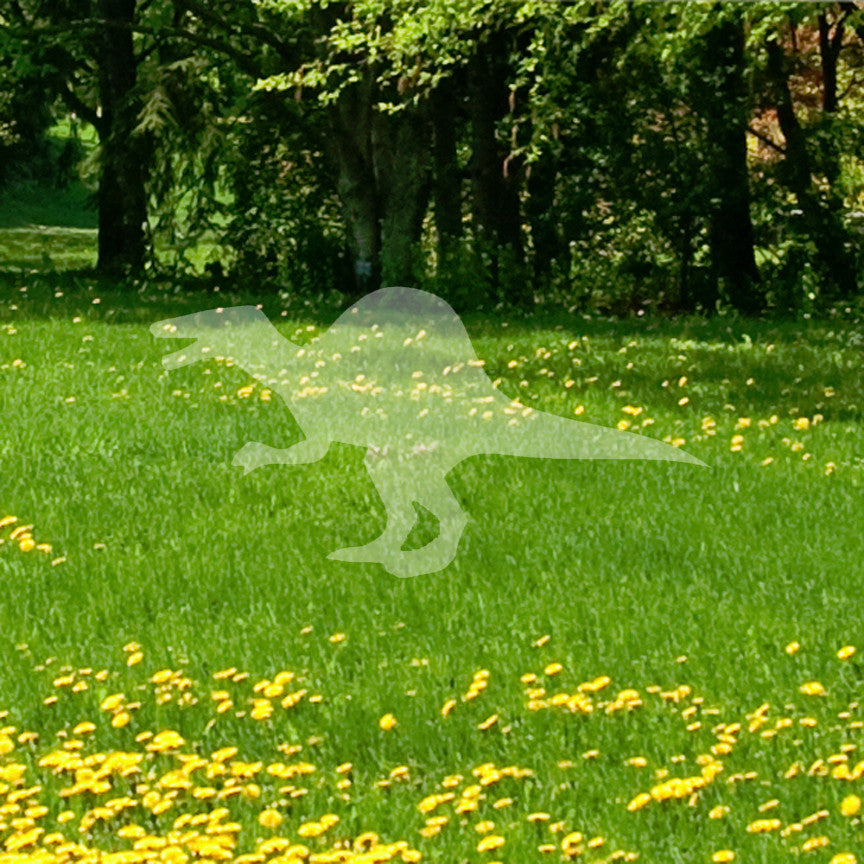 Dimetrodon Dinosaur