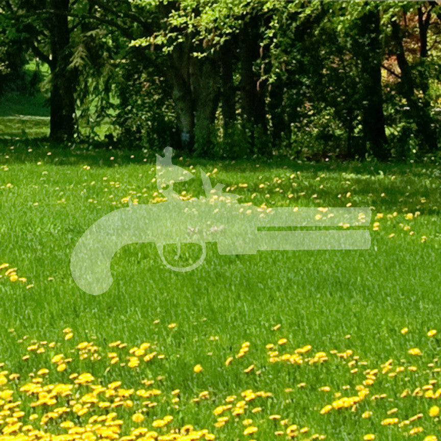Flintlock Pistol Gun