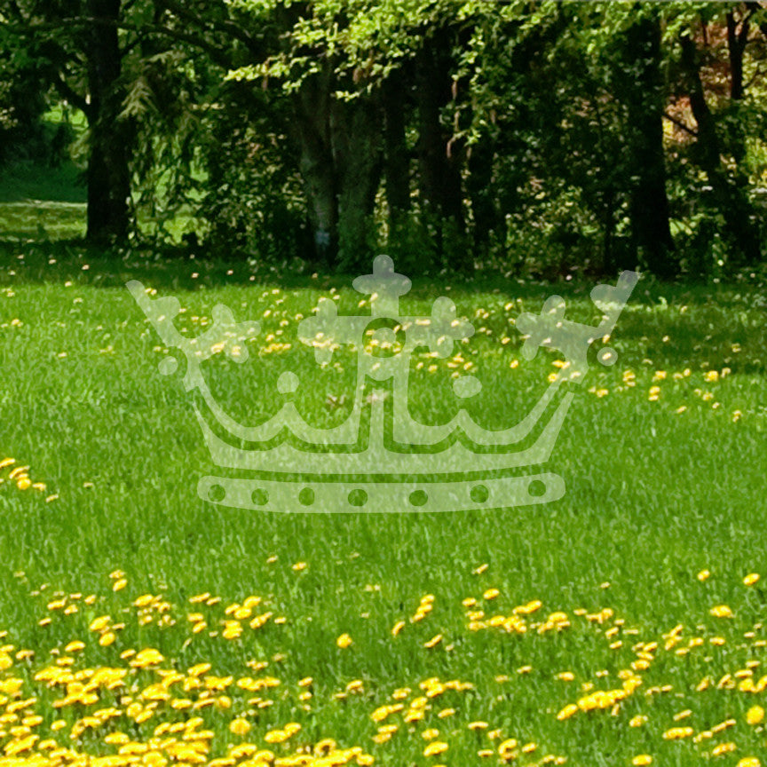 Royalty Crown King Queen