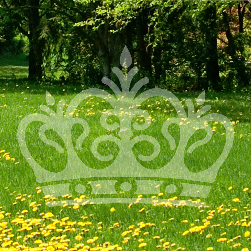 Royalty Crown Monarch King