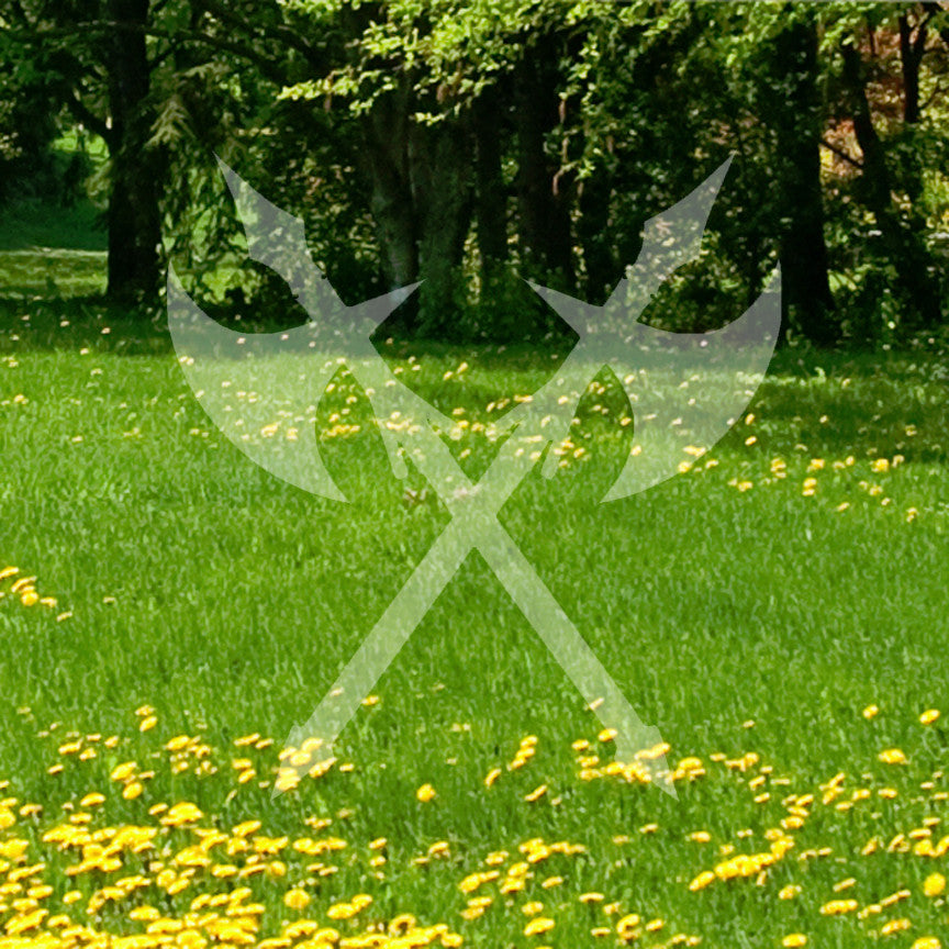 Crossed Battle Axe Ax