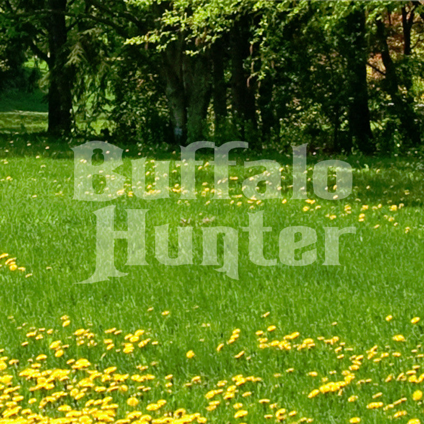 Buffalo Hunter