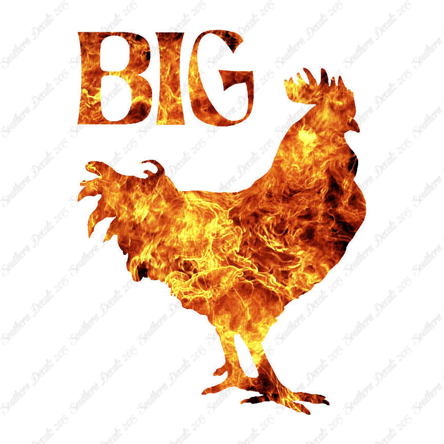 Big Rooster Cock Chicken
