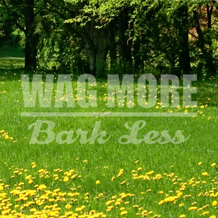 Wag More Bark Less