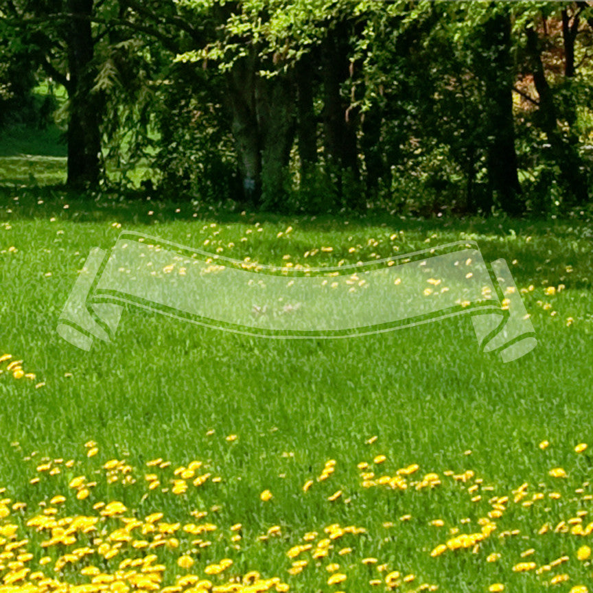 Decorative Banner