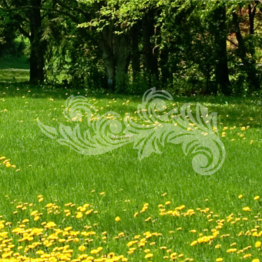 Decorative Flourish Leaf