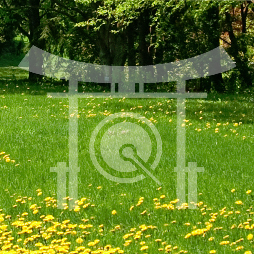 Torii Japanese Gong Shinto
