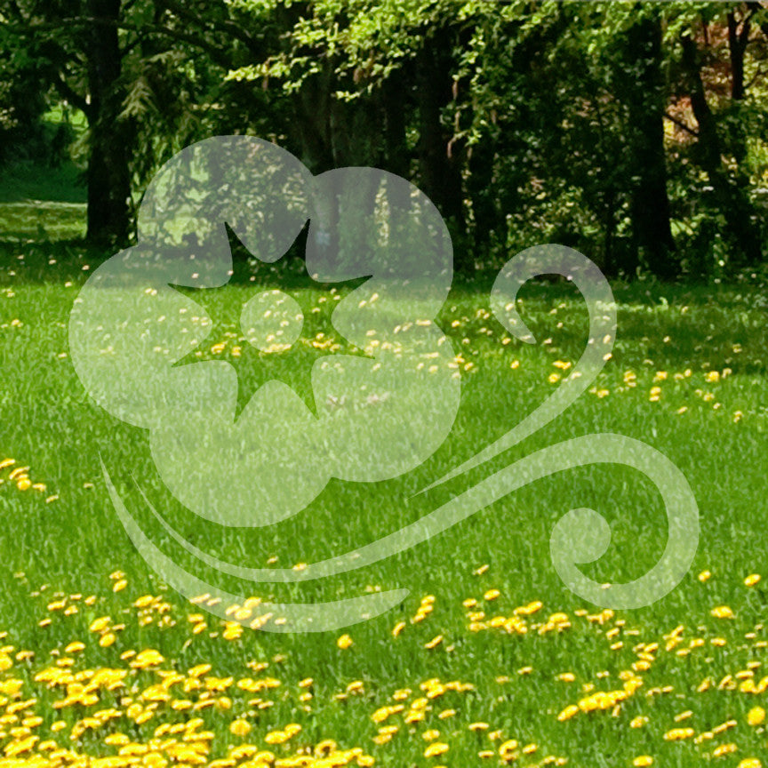Flower Breeze Art