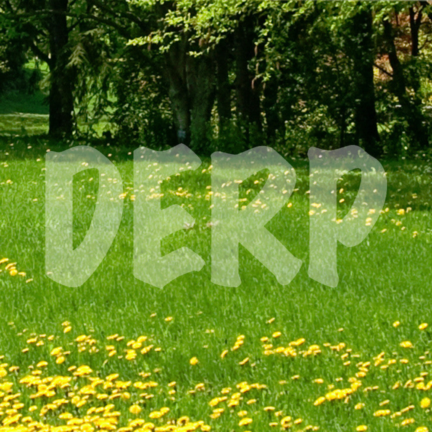 Derp