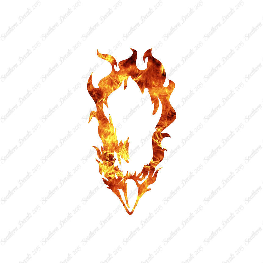 Bald Eagle Head Flames