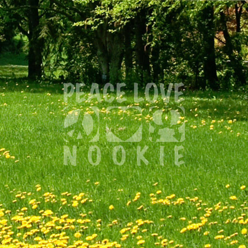 Peace Love Nookie