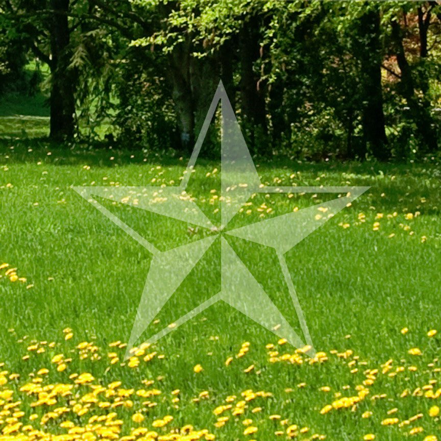 Nautical Star Lone Barn