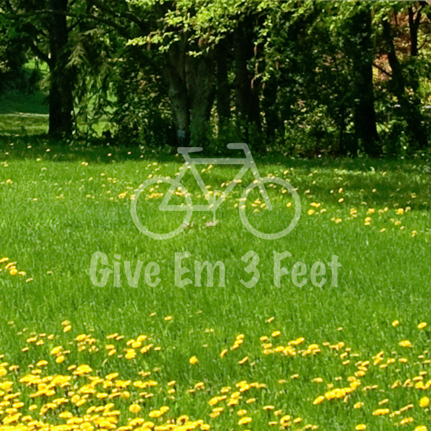 Give Em 3 Feet Bike Bicycle
