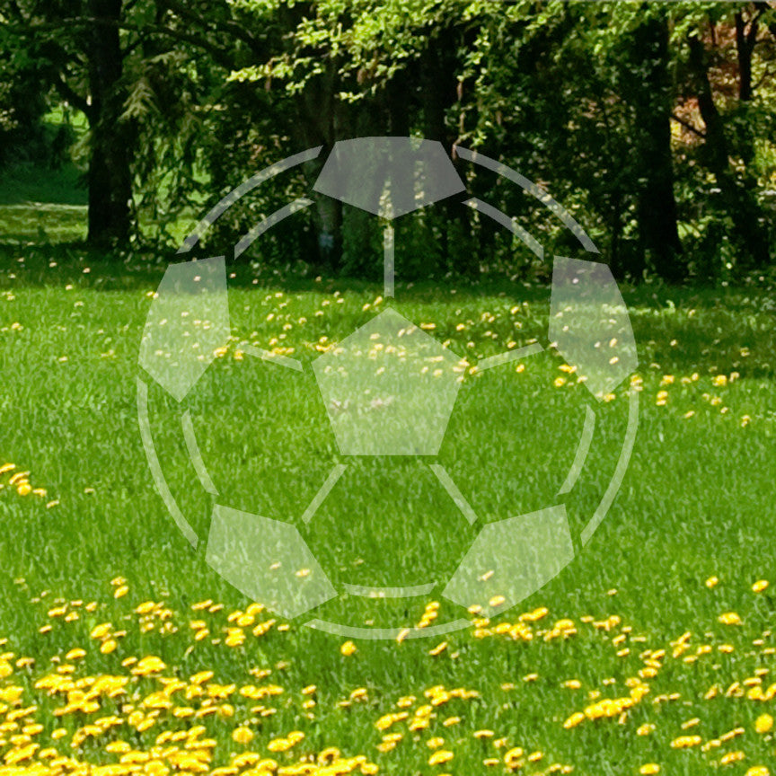 Soccer Ball Sports
