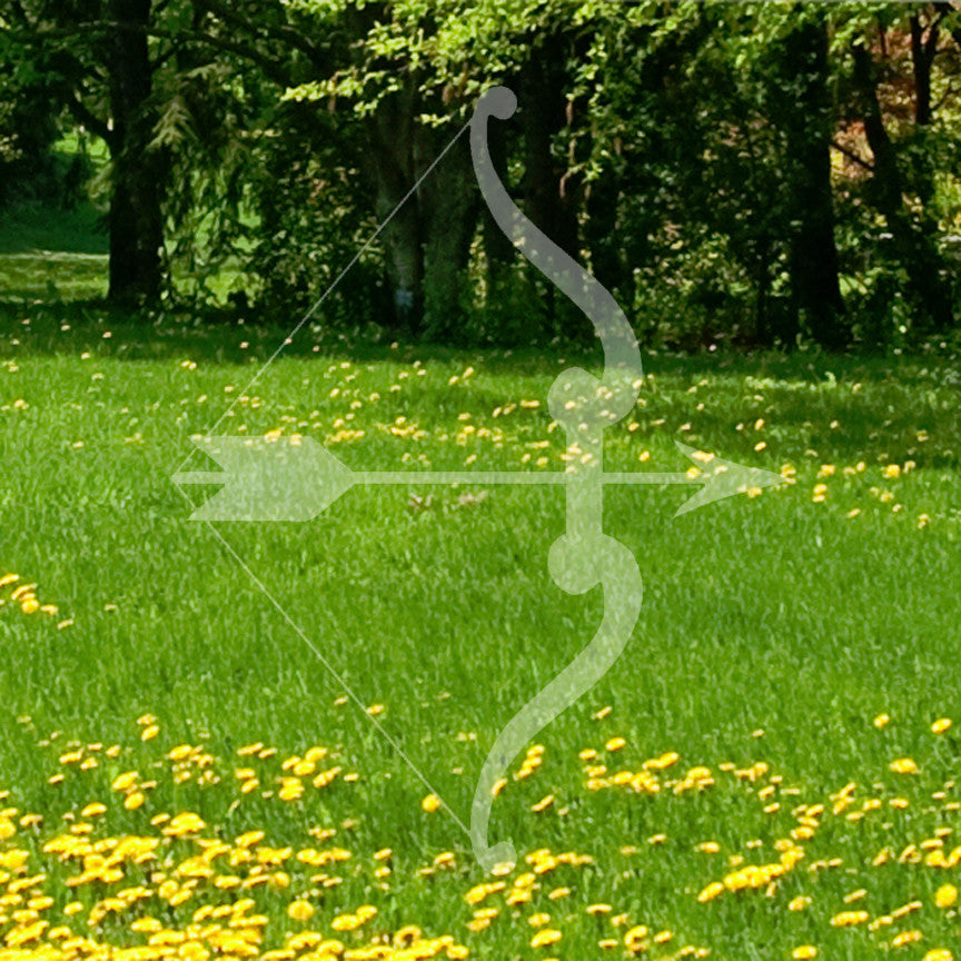 Bow Arrow Archery