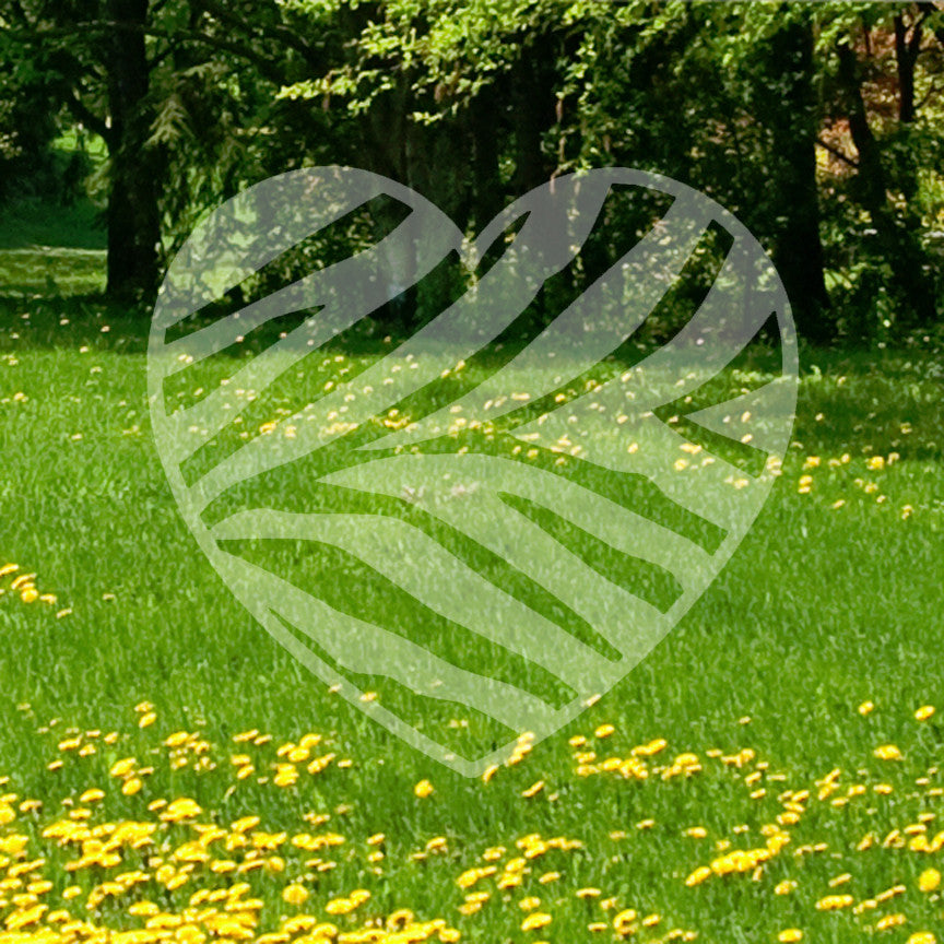 Zebra Print Heart