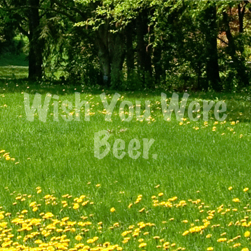 Wish You Were Beer