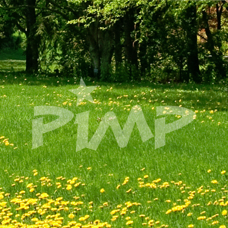 Pimp Star
