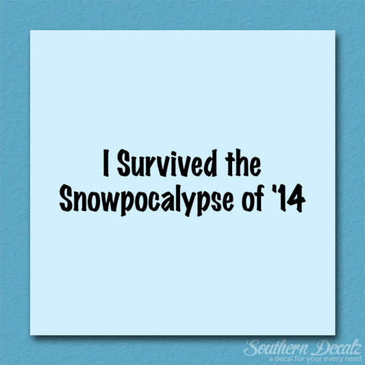 Survived Snow pocalypse