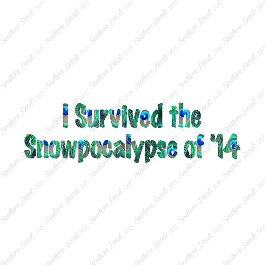 Survived Snow pocalypse