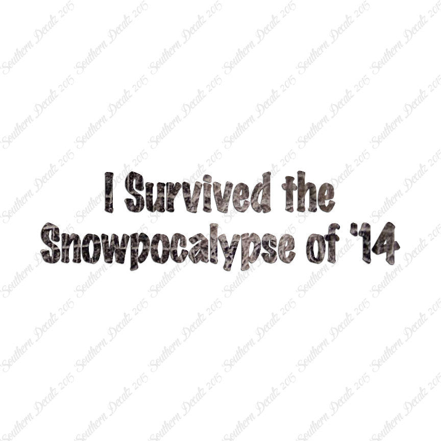 Survived Snow pocalypse