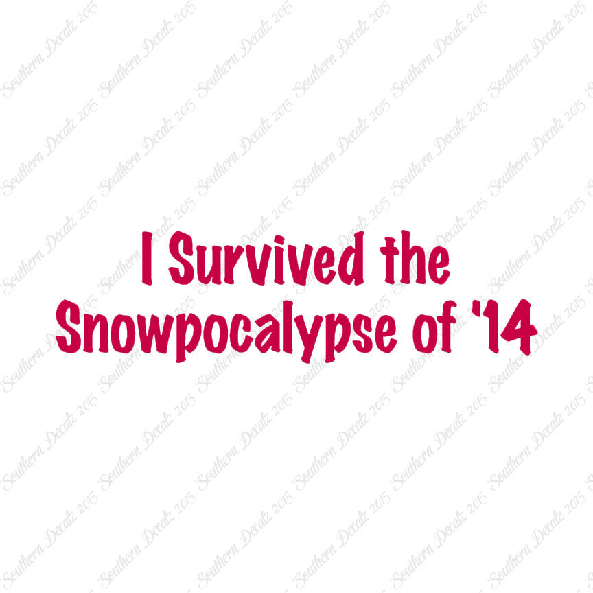 Survived Snow pocalypse