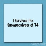 Survived Snow pocalypse