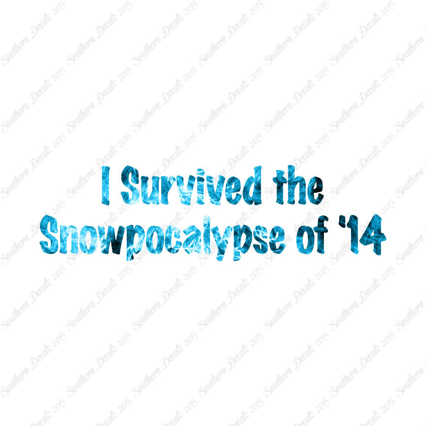 Survived Snow pocalypse