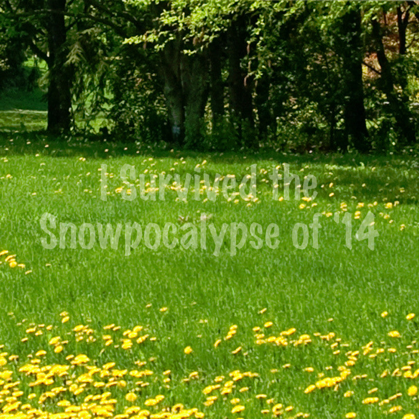 Survived Snow pocalypse