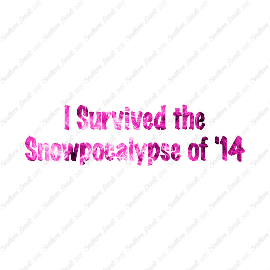 Survived Snow pocalypse