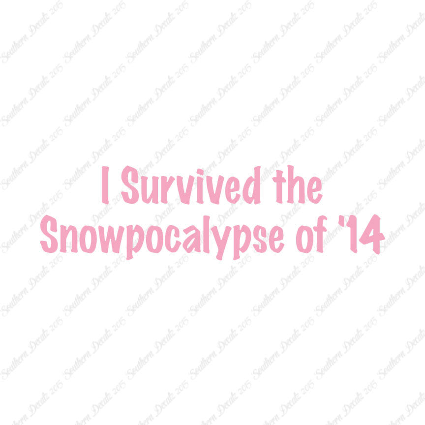 Survived Snow pocalypse