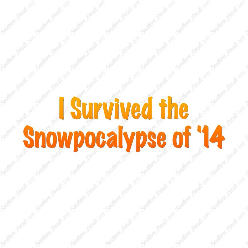 Survived Snow pocalypse