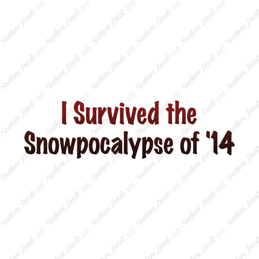 Survived Snow pocalypse
