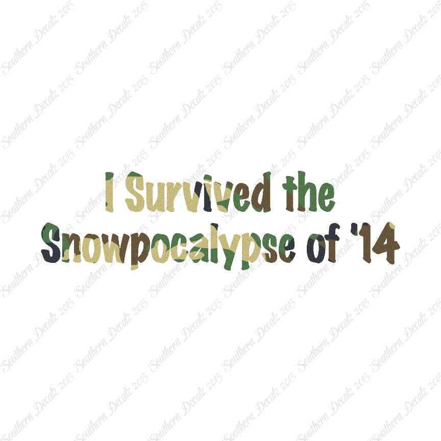 Survived Snow pocalypse
