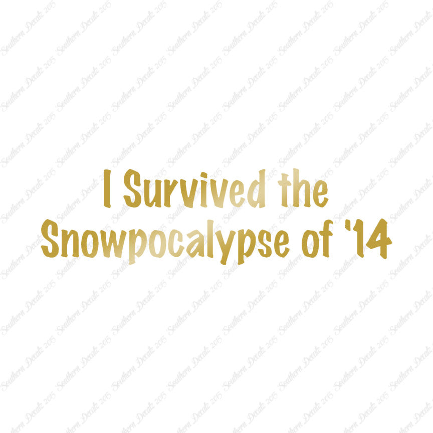 Survived Snow pocalypse