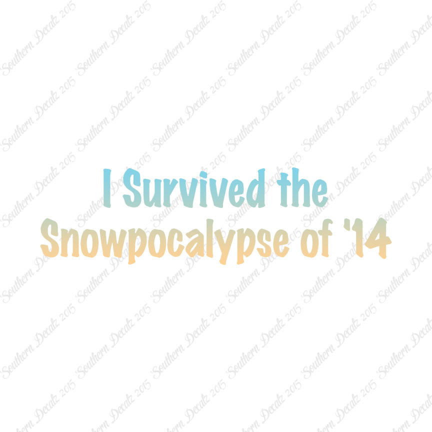 Survived Snow pocalypse